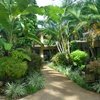 Фотография отеля Bay Village Tropical Retreat Cairns